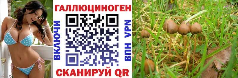 Псилоцибиновые грибы Magic Shrooms  KRAKEN tor  Полысаево 